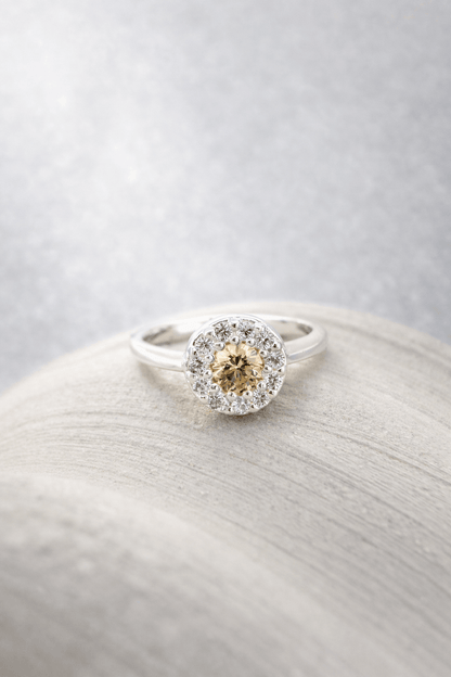 Anillo Circle basic - Mateu Joyeros